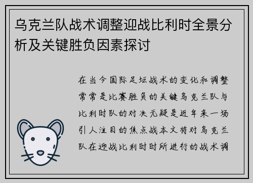 乌克兰队战术调整迎战比利时全景分析及关键胜负因素探讨