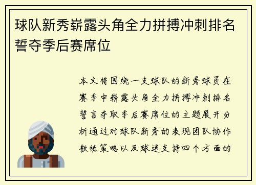 球队新秀崭露头角全力拼搏冲刺排名誓夺季后赛席位
